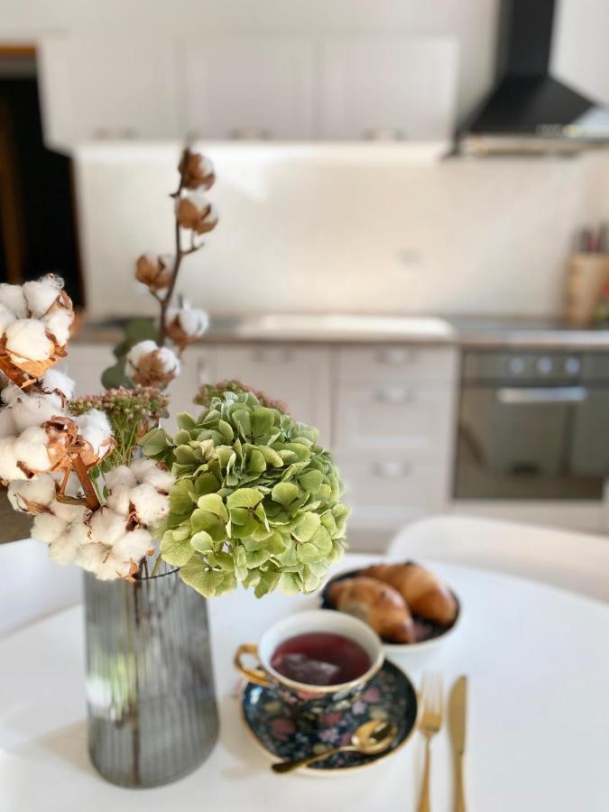 Apartment Evelina Pula Zewnętrze zdjęcie